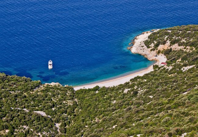 Apartament w Stivan - Apartament w Stivan z balkon, Klimatyzacja, WIFI, Pralka (5196-1) Apartament w Stivan - Apartament w Stivan z balkon, Klimatyzacja, WIFI, Pralka (5196-1)