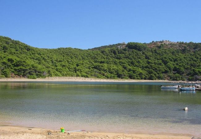 Apartament w Saplunara - Apartament w Saplunara z Widok na morze, taras, Klimatyzacja, WIFI (5197-5) Apartament w Saplunara - Apartament w Saplunara z Widok na morze, taras, Klimatyzacja, WIFI (5197-5)