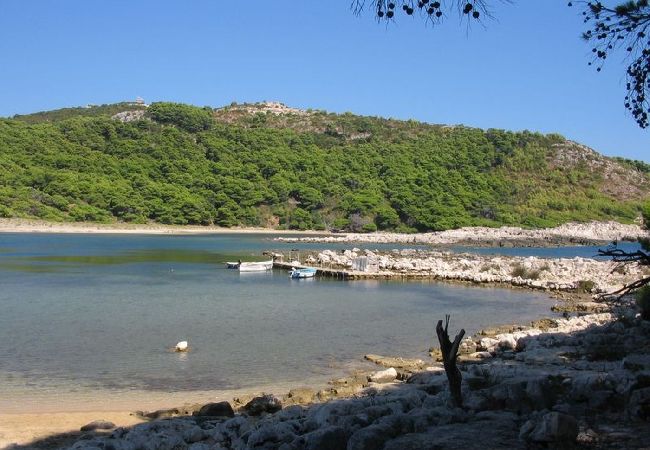 Apartament w Saplunara - Apartament w Saplunara z Widok na morze, taras, Klimatyzacja, WIFI (5197-5) Apartament w Saplunara - Apartament w Saplunara z Widok na morze, taras, Klimatyzacja, WIFI (5197-5)