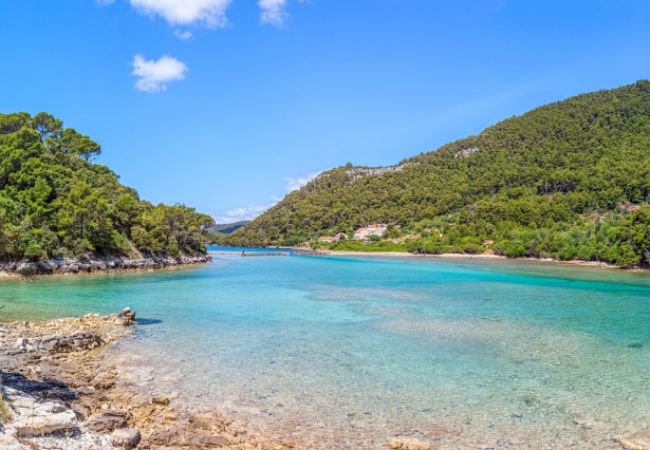 Apartament w Saplunara - Apartament w Saplunara z Widok na morze, taras, Klimatyzacja, WIFI (5197-5) Apartament w Saplunara - Apartament w Saplunara z Widok na morze, taras, Klimatyzacja, WIFI (5197-5)