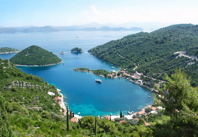 Apartament w Saplunara - Apartament w Saplunara z Widok na morze, taras, Klimatyzacja, WIFI (5197-4) Apartament w Saplunara - Apartament w Saplunara z Widok na morze, taras, Klimatyzacja, WIFI (5197-4)