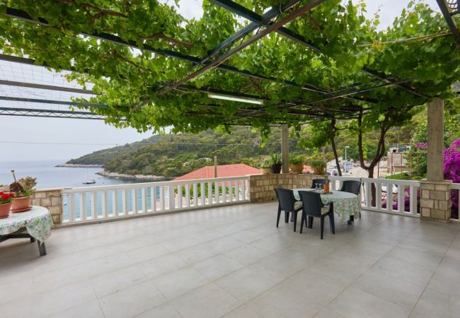 Apartament w Saplunara - Apartament w Saplunara z Widok na morze, taras, Klimatyzacja, WIFI (5197-4) Apartament w Saplunara - Apartament w Saplunara z Widok na morze, taras, Klimatyzacja, WIFI (5197-4)