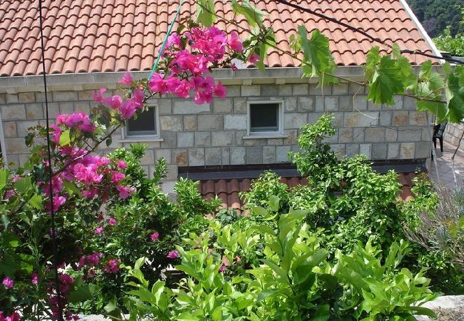 Apartament w Saplunara - Apartament w Saplunara z Widok na morze, balkon, Klimatyzacja, WIFI (5197-3) Apartament w Saplunara - Apartament w Saplunara z Widok na morze, balkon, Klimatyzacja, WIFI (5197-3)