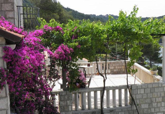 Apartament w Saplunara - Apartament w Saplunara z Widok na morze, balkon, Klimatyzacja, WIFI (5197-3) Apartament w Saplunara - Apartament w Saplunara z Widok na morze, balkon, Klimatyzacja, WIFI (5197-3)