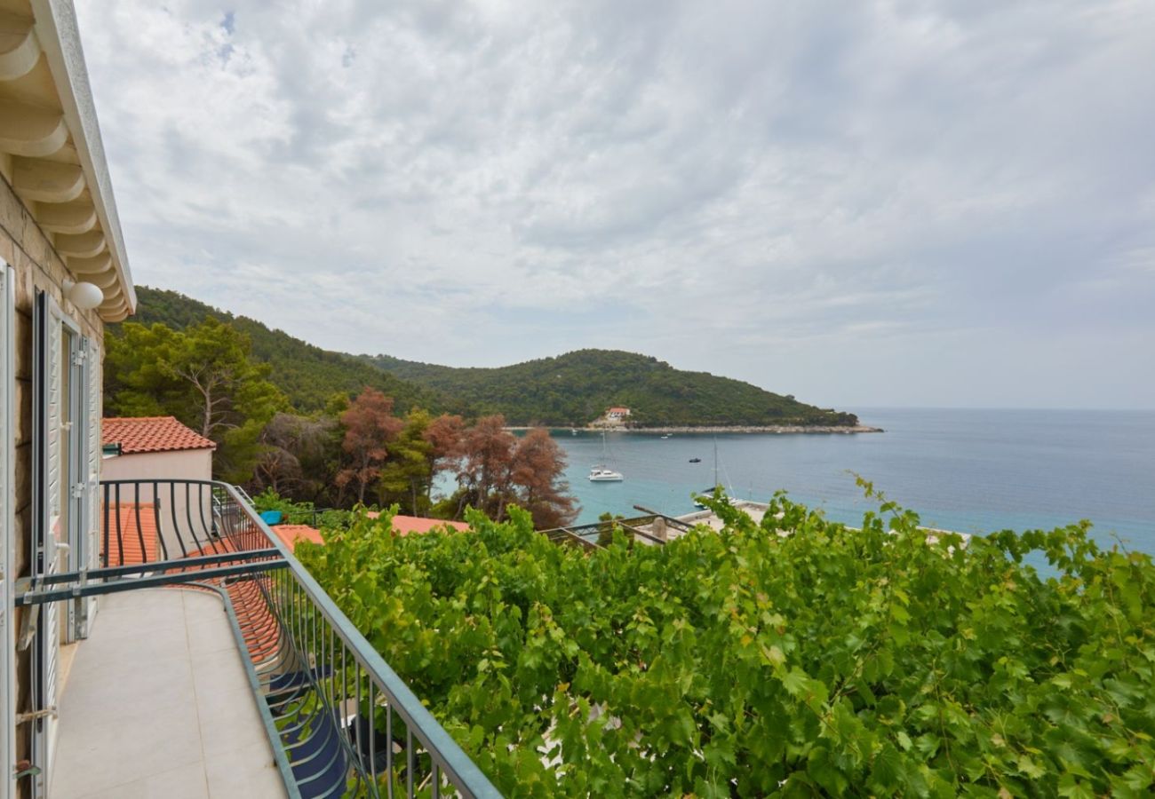 Apartament w Saplunara - Apartament w Saplunara z Widok na morze, balkon, Klimatyzacja, WIFI (5197-2)