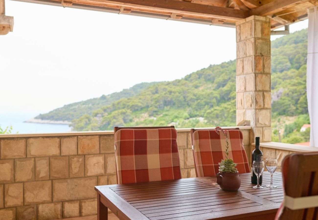 Apartament w Saplunara - Apartament w Saplunara z Widok na morze, balkon, Klimatyzacja, WIFI (5197-2)