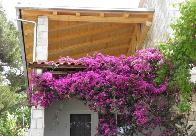 Apartament w Saplunara - Apartament w Saplunara z Widok na morze, balkon, Klimatyzacja, WIFI (5197-1) Apartament w Saplunara - Apartament w Saplunara z Widok na morze, balkon, Klimatyzacja, WIFI (5197-1)