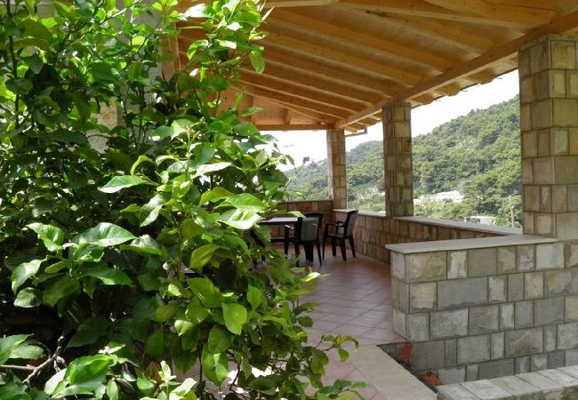 Apartament w Saplunara - Apartament w Saplunara z Widok na morze, balkon, Klimatyzacja, WIFI (5197-1) Apartament w Saplunara - Apartament w Saplunara z Widok na morze, balkon, Klimatyzacja, WIFI (5197-1)