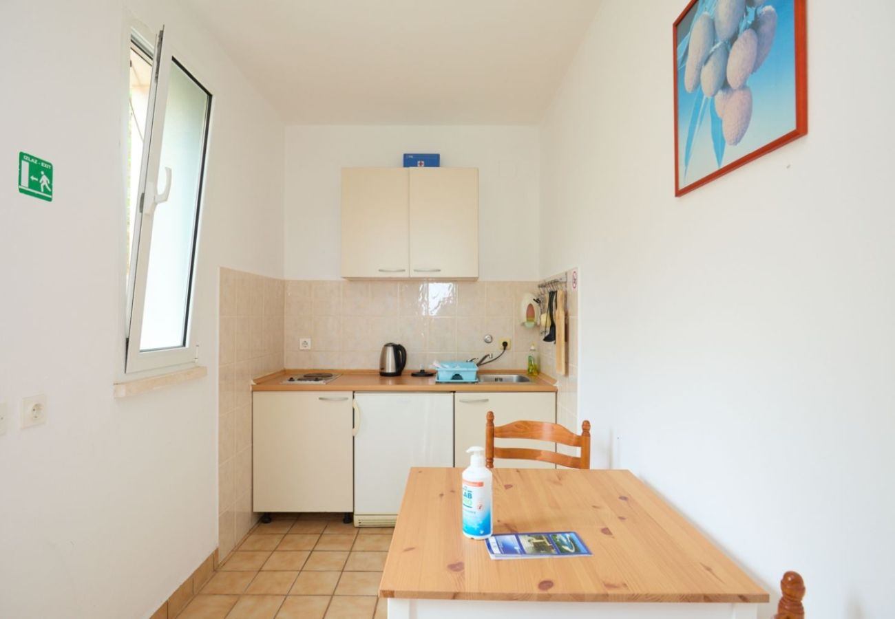 Apartament w Saplunara - Apartament w Saplunara z Widok na morze, balkon, Klimatyzacja, WIFI (5197-1)