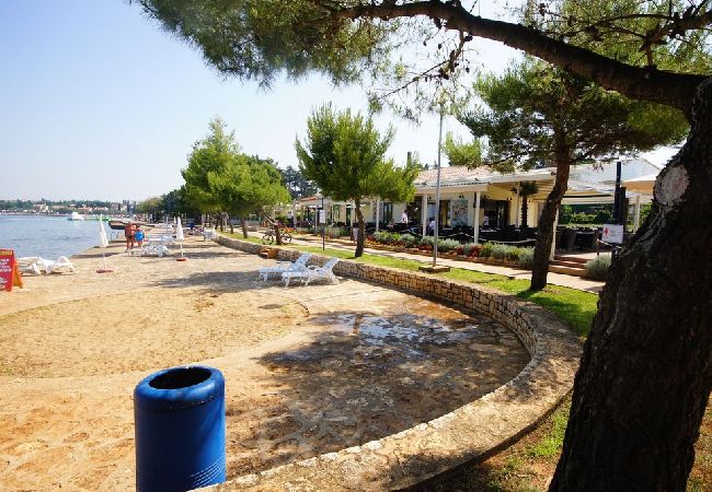 Apartament w Porec - Ferienwohnung in Poreč mit Balkon, Klimaanlage, W-LAN, Waschmaschine (5203-1) Apartament w Porec - Ferienwohnung in Poreč mit Balkon, Klimaanlage, W-LAN, Waschmaschine (5203-1)