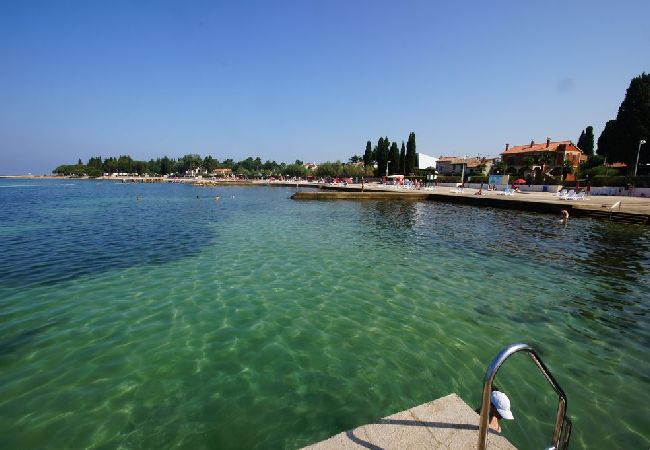 Apartament w Porec - Ferienwohnung in Poreč mit Balkon, Klimaanlage, W-LAN, Waschmaschine (5203-1) Apartament w Porec - Ferienwohnung in Poreč mit Balkon, Klimaanlage, W-LAN, Waschmaschine (5203-1)