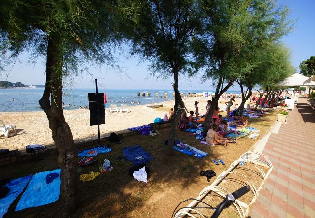 Apartament w Porec - Ferienwohnung in Poreč mit Balkon, Klimaanlage, W-LAN, Waschmaschine (5203-1) Apartament w Porec - Ferienwohnung in Poreč mit Balkon, Klimaanlage, W-LAN, Waschmaschine (5203-1)