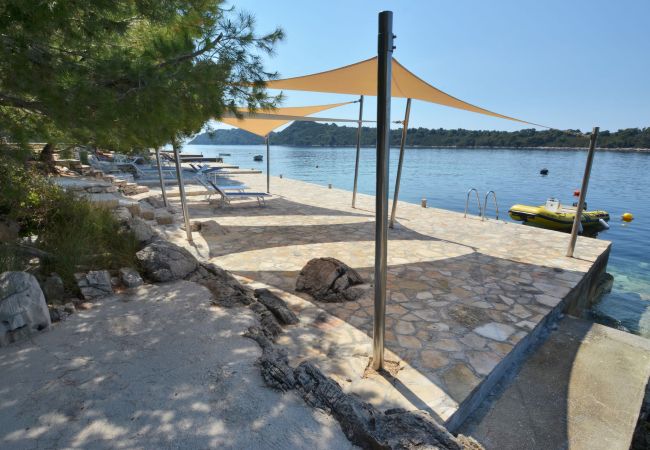 Apartament w Karbuni - Apartament w Karbuni z Widok na morze, taras, Klimatyzacja, WIFI (3609-5) Apartament w Karbuni - Apartament w Karbuni z Widok na morze, taras, Klimatyzacja, WIFI (3609-5)