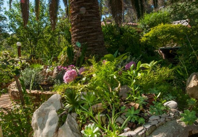 Дом на Veli Lošinj - дом отдыха в Вели Лошињ c терраса, Спутниковое / кабельное телевидение, WIFI, Балкон / Терраса (63-1) Дом на Veli Lošinj - дом отдыха в Вели Лошињ c терраса, Спутниковое / кабельное телевидение, WIFI, Балкон / Терраса (63-1)
