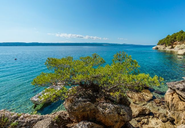 Квартира-студия на Pisak - Studio apartment in Pisak with Seaview, Terrace, Air condition, WIFI (102-6) Квартира-студия на Pisak - Studio apartment in Pisak with Seaview, Terrace, Air condition, WIFI (102-6)