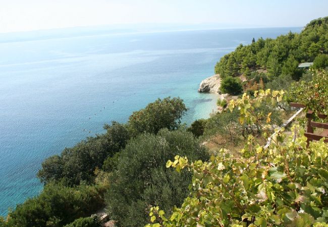 Квартира-студия на Pisak - Studio apartment in Pisak with Seaview, Terrace, Air condition, WIFI (102-6) Квартира-студия на Pisak - Studio apartment in Pisak with Seaview, Terrace, Air condition, WIFI (102-6)