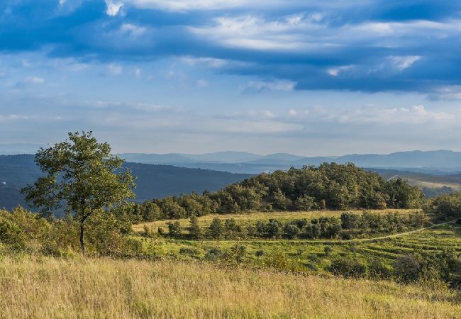 Апартаменты на Bašanija - Aпартамент в Башанија c терраса, Спутниковое / кабельное телевидение, WIFI (113-1) Апартаменты на Bašanija - Aпартамент в Башанија c терраса, Спутниковое / кабельное телевидение, WIFI (113-1)