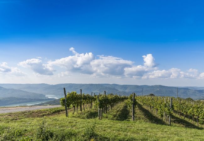 Апартаменты на Bašanija - Aпартамент в Башанија c терраса, Спутниковое / кабельное телевидение, WIFI (113-1) Апартаменты на Bašanija - Aпартамент в Башанија c терраса, Спутниковое / кабельное телевидение, WIFI (113-1)