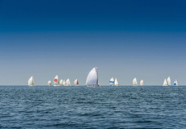 Апартаменты на Bašanija - Aпартамент в Башанија c терраса, Спутниковое / кабельное телевидение, WIFI (113-1) Апартаменты на Bašanija - Aпартамент в Башанија c терраса, Спутниковое / кабельное телевидение, WIFI (113-1)