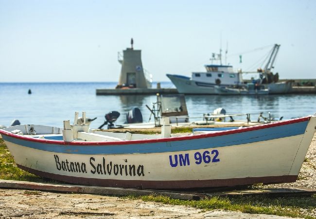 Апартаменты на Bašanija - Aпартамент в Башанија c терраса, Спутниковое / кабельное телевидение, WIFI (113-2) Апартаменты на Bašanija - Aпартамент в Башанија c терраса, Спутниковое / кабельное телевидение, WIFI (113-2)