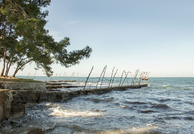Апартаменты на Bašanija - Aпартамент в Башанија c Вид на море, терраса, Спутниковое / кабельное телевидение, WIFI (113-6) Апартаменты на Bašanija - Aпартамент в Башанија c Вид на море, терраса, Спутниковое / кабельное телевидение, WIFI (113-6)