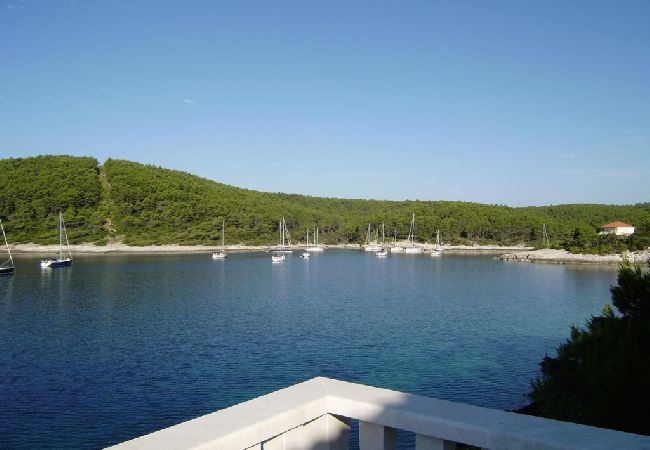 Апартаменты на Vela Luka - Aпартамент в Tri Porte (Potirna) c Вид на море, терраса, Спутниковое / кабельное телевидение, WIFI (5208-2) Апартаменты на Vela Luka - Aпартамент в Tri Porte (Potirna) c Вид на море, терраса, Спутниковое / кабельное телевидение, WIFI (5208-2)