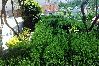 Апартаменты на Lopar - Apartment in Lopar with Seaview, Terrace, WIFI, Washing machine (186-1) Апартаменты на Lopar - Apartment in Lopar with Seaview, Terrace, WIFI, Washing machine (186-1)