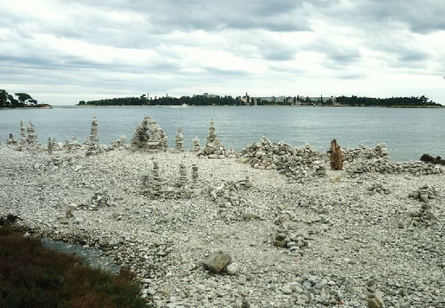 Апартаменты на Rovinj - Aпартамент в Ровинь c балкон, Спутниковое / кабельное телевидение, WIFI (230-1) Апартаменты на Rovinj - Aпартамент в Ровинь c балкон, Спутниковое / кабельное телевидение, WIFI (230-1)