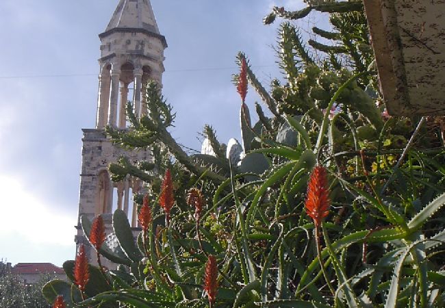 Квартира-студия на Hvar - студио Апартамент в Хвар c терраса, Спутниковое / кабельное телевидение, WIFI, Балкон / Терраса (221-1) Квартира-студия на Hvar - студио Апартамент в Хвар c терраса, Спутниковое / кабельное телевидение, WIFI, Балкон / Терраса (221-1)