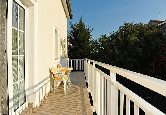 Апартаменты на Rovinj - Aпартамент в Ровинь c балкон, Спутниковое / кабельное телевидение, WIFI, инвалидности (230-2) Апартаменты на Rovinj - Aпартамент в Ровинь c балкон, Спутниковое / кабельное телевидение, WIFI, инвалидности (230-2)