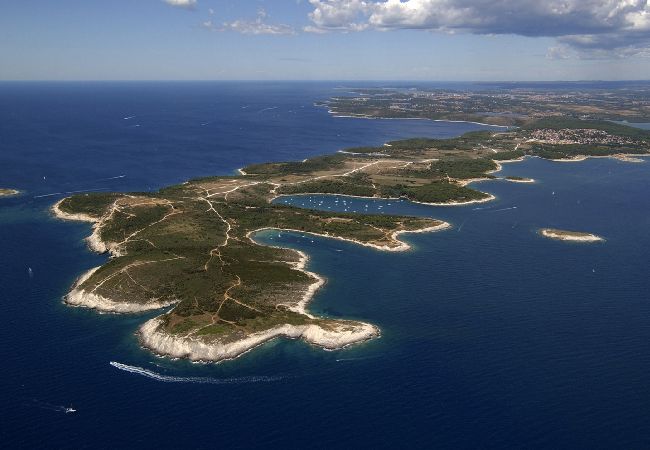 Апартаменты на Pula - Aпартамент в Пула c терраса, Спутниковое / кабельное телевидение, WIFI, Балкон / Терраса (633-1) Апартаменты на Pula - Aпартамент в Пула c терраса, Спутниковое / кабельное телевидение, WIFI, Балкон / Терраса (633-1)