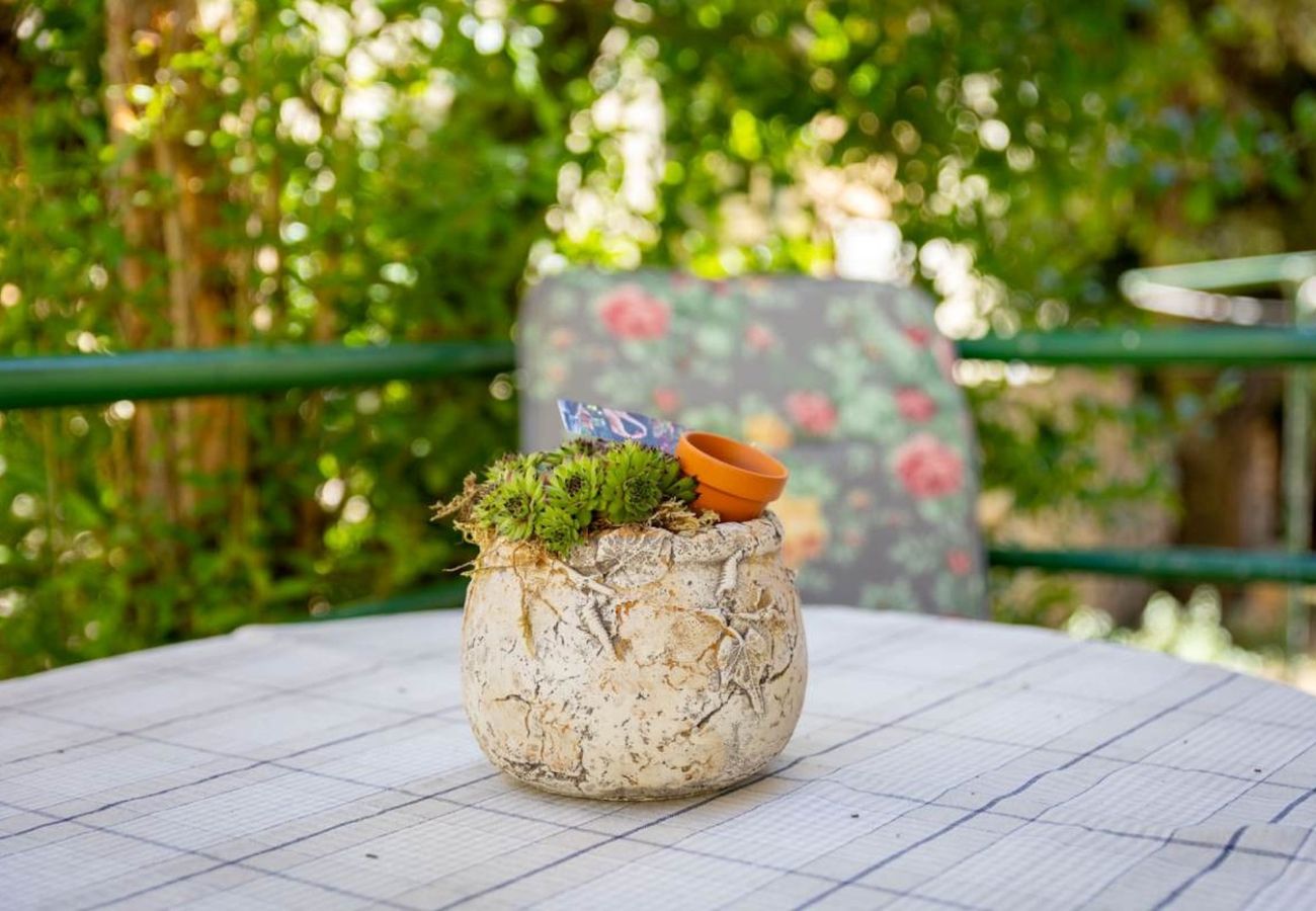 Апартаменты на Rab - Aпартамент в Барбат c балкон, Спутниковое / кабельное телевидение (660-2) Апартаменты на Rab - Aпартамент в Барбат c балкон, Спутниковое / кабельное телевидение (660-2)