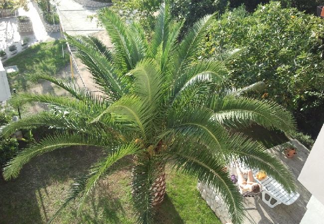 Апартаменты на Banjol - Ferienwohnung in Banjol mit Meerblick, Balkon, Klimaanlage, W-LAN (605-1) Апартаменты на Banjol - Ferienwohnung in Banjol mit Meerblick, Balkon, Klimaanlage, W-LAN (605-1)