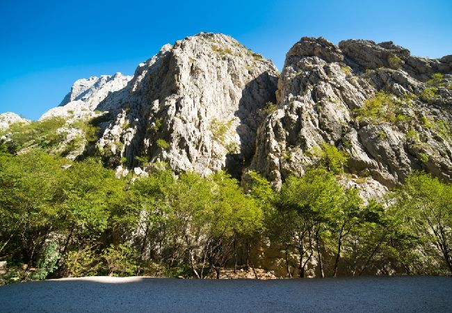 Апартаменты на Starigrad - Aпартамент в Стариград Пакленица c Вид на море, терраса, Спутниковое / кабельное телевидение, WIFI (627-1) Апартаменты на Starigrad - Aпартамент в Стариград Пакленица c Вид на море, терраса, Спутниковое / кабельное телевидение, WIFI (627-1)