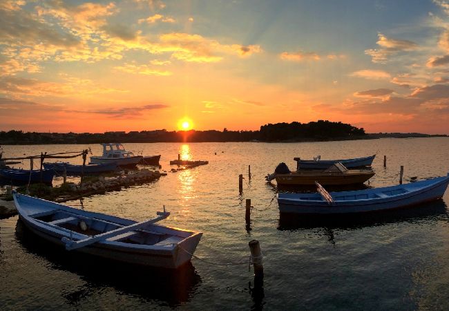 Апартаменты на Nin - Aпартамент в Нин c терраса, Спутниковое / кабельное телевидение, WIFI (864-1) Апартаменты на Nin - Aпартамент в Нин c терраса, Спутниковое / кабельное телевидение, WIFI (864-1)