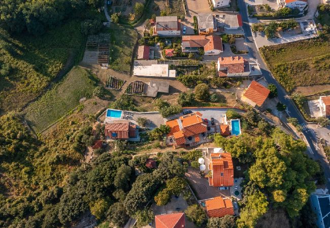 Апартаменты на Supetarska Draga - Apartment in Supetarska Draga with Seaview, Balcony, Air condition, WIFI (3321-4) Апартаменты на Supetarska Draga - Apartment in Supetarska Draga with Seaview, Balcony, Air condition, WIFI (3321-4)