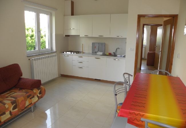 Апартаменты на Premantura - Ferienwohnung in Premantura mit Terrasse, Klimaanlage, W-LAN, Waschmaschine (3352-28) Апартаменты на Premantura - Ferienwohnung in Premantura mit Terrasse, Klimaanlage, W-LAN, Waschmaschine (3352-28)