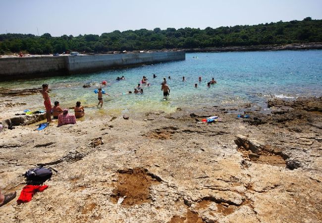 Апартаменты на Premantura - Ferienwohnung in Premantura mit Terrasse, Klimaanlage, W-LAN, Waschmaschine (3352-28) Апартаменты на Premantura - Ferienwohnung in Premantura mit Terrasse, Klimaanlage, W-LAN, Waschmaschine (3352-28)