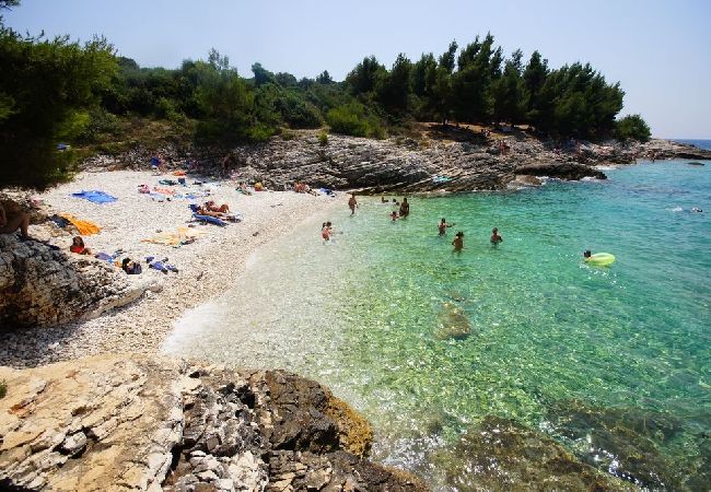 Апартаменты на Premantura - Ferienwohnung in Premantura mit Terrasse, Klimaanlage, W-LAN, Waschmaschine (3352-28) Апартаменты на Premantura - Ferienwohnung in Premantura mit Terrasse, Klimaanlage, W-LAN, Waschmaschine (3352-28)