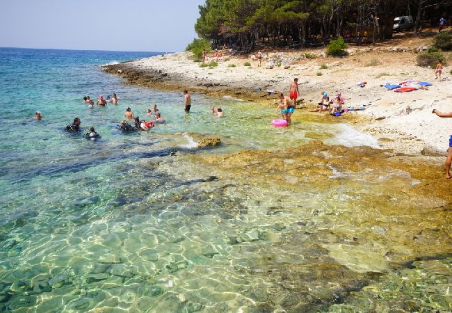 Апартаменты на Premantura - Ferienwohnung in Premantura mit Terrasse, Klimaanlage, W-LAN, Waschmaschine (3352-28) Апартаменты на Premantura - Ferienwohnung in Premantura mit Terrasse, Klimaanlage, W-LAN, Waschmaschine (3352-28)