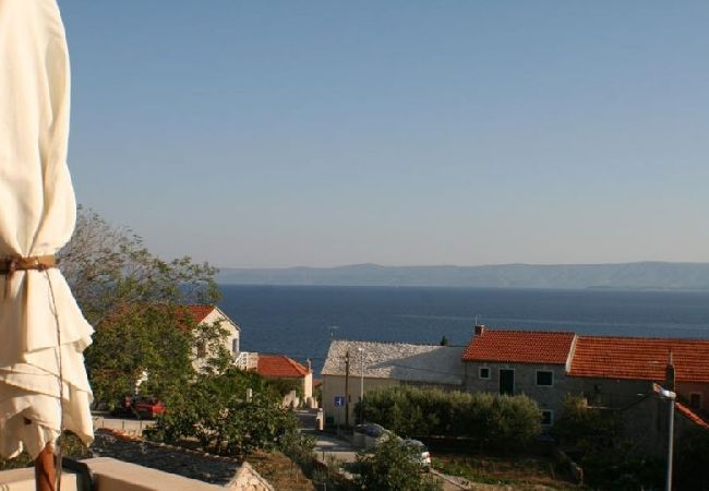 Квартира-студия на Bol - студио Апартамент в Бол c Вид на море, балкон, Спутниковое / кабельное телевидение, WIFI (3417-3) Квартира-студия на Bol - студио Апартамент в Бол c Вид на море, балкон, Спутниковое / кабельное телевидение, WIFI (3417-3)