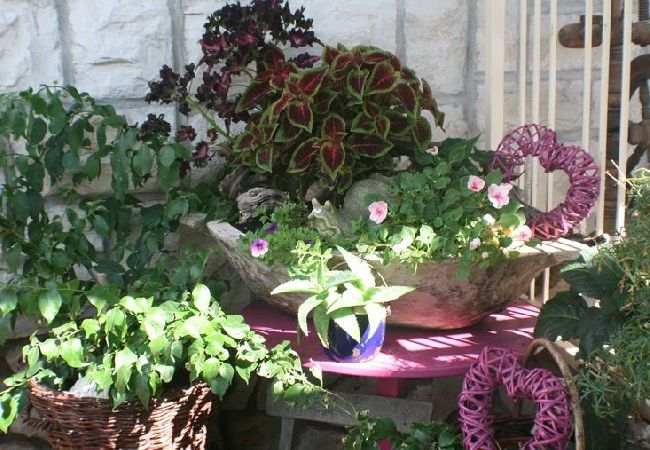 Квартира-студия на Bol - студио Апартамент в Бол c Вид на море, балкон, Спутниковое / кабельное телевидение, WIFI (3417-3) Квартира-студия на Bol - студио Апартамент в Бол c Вид на море, балкон, Спутниковое / кабельное телевидение, WIFI (3417-3)