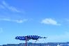 Дом на Kornati - Дом Робинзона в Жуте с видом на море, террасой (3467-1) Дом на Kornati - Дом Робинзона в Жуте с видом на море, террасой (3467-1)