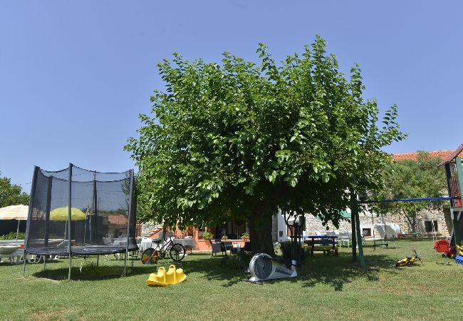 Дом на Vodnjan - Ferienhaus in Vodnjan mit Terrasse, Klimaanlage, W-LAN, Waschmaschine (3556-1) Дом на Vodnjan - Ferienhaus in Vodnjan mit Terrasse, Klimaanlage, W-LAN, Waschmaschine (3556-1)
