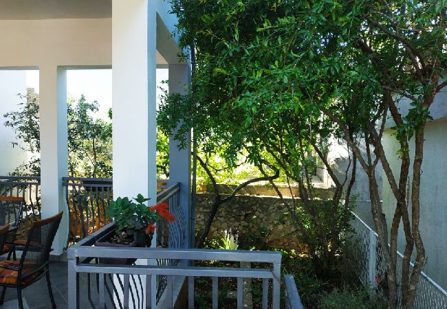 Апартаменты на Ražanj - Aпартамент в Ražanj c терраса, Спутниковое / кабельное телевидение, WIFI, Балкон / Терраса (3567-1) Апартаменты на Ražanj - Aпартамент в Ražanj c терраса, Спутниковое / кабельное телевидение, WIFI, Балкон / Терраса (3567-1)