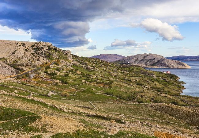 Апартаменты на Novalja - Aпартамент в Новалья c Вид на море, терраса, Спутниковое / кабельное телевидение, WIFI (3572-1) Апартаменты на Novalja - Aпартамент в Новалья c Вид на море, терраса, Спутниковое / кабельное телевидение, WIFI (3572-1)