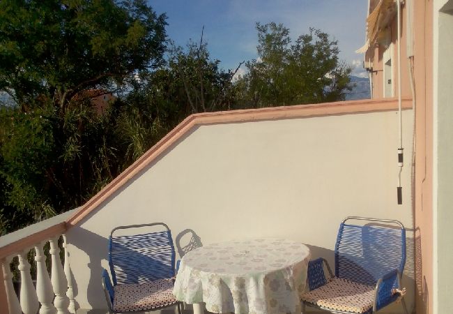 Апартаменты на Privlaka - Apartment in Privlaka with Seaview, Terrace, Air condition, WIFI (3591-2) Апартаменты на Privlaka - Apartment in Privlaka with Seaview, Terrace, Air condition, WIFI (3591-2)