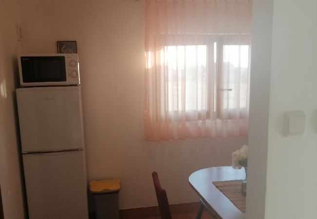 Апартаменты на Privlaka - Apartment in Privlaka with Seaview, Terrace, Air condition, WIFI (3591-2) Апартаменты на Privlaka - Apartment in Privlaka with Seaview, Terrace, Air condition, WIFI (3591-2)