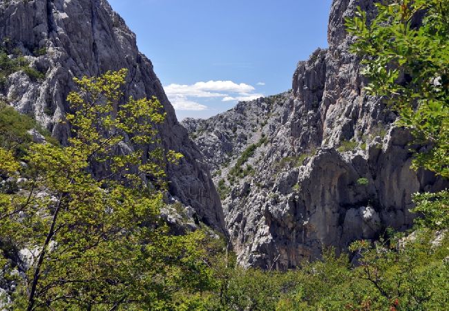 Апартаменты на Starigrad - Aпартамент в Стариград Пакленица c Вид на море, балкон, Спутниковое / кабельное телевидение, WIFI (627-4) Апартаменты на Starigrad - Aпартамент в Стариград Пакленица c Вид на море, балкон, Спутниковое / кабельное телевидение, WIFI (627-4)