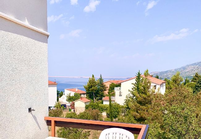 Starigrad - Rent by room